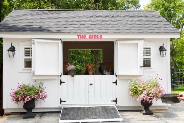 R&R The Girls